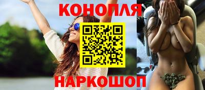 гидропоника Гусев