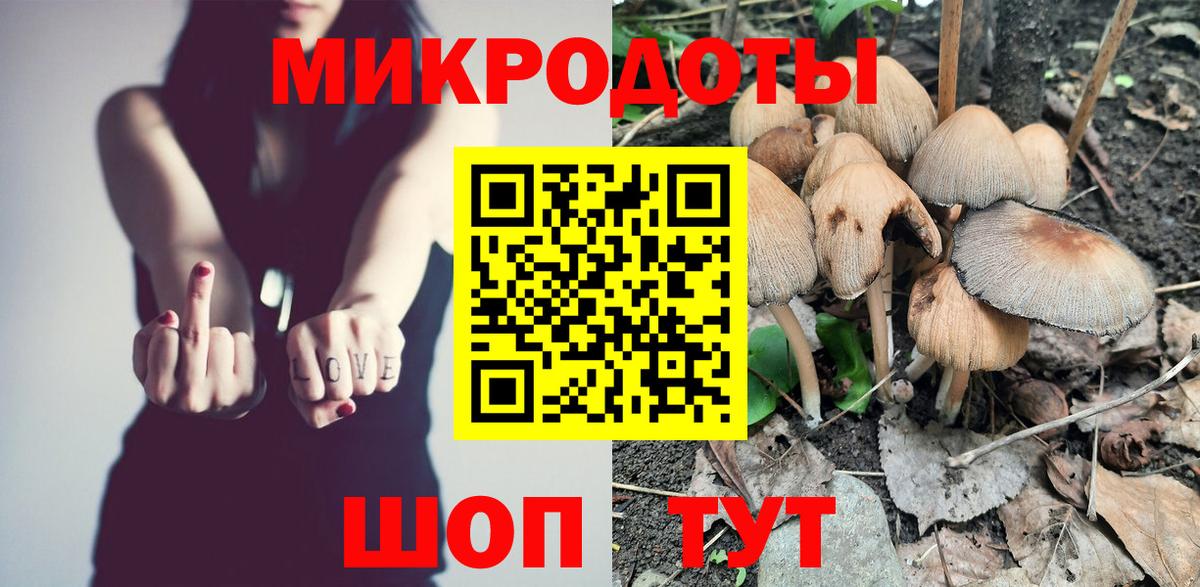 Муром  Галлюциногенные грибы Psilocybine cubensis  Вход с VPN 